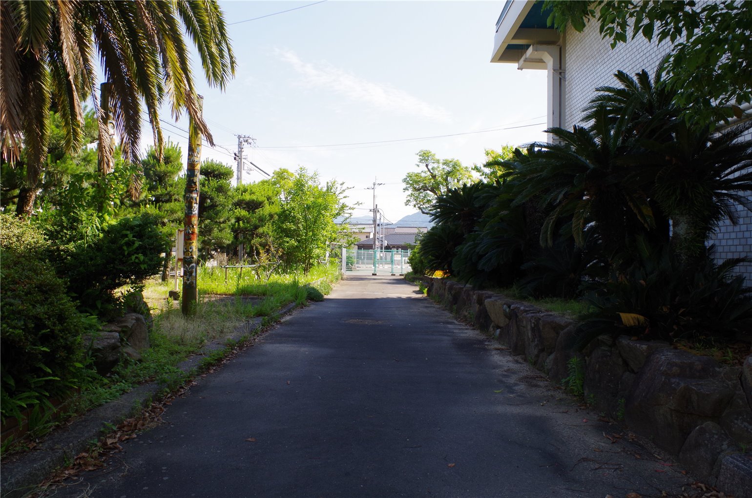 18_2の画像