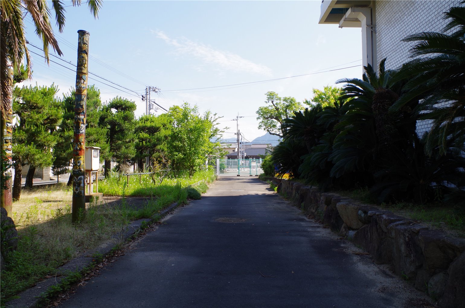 19_2の画像