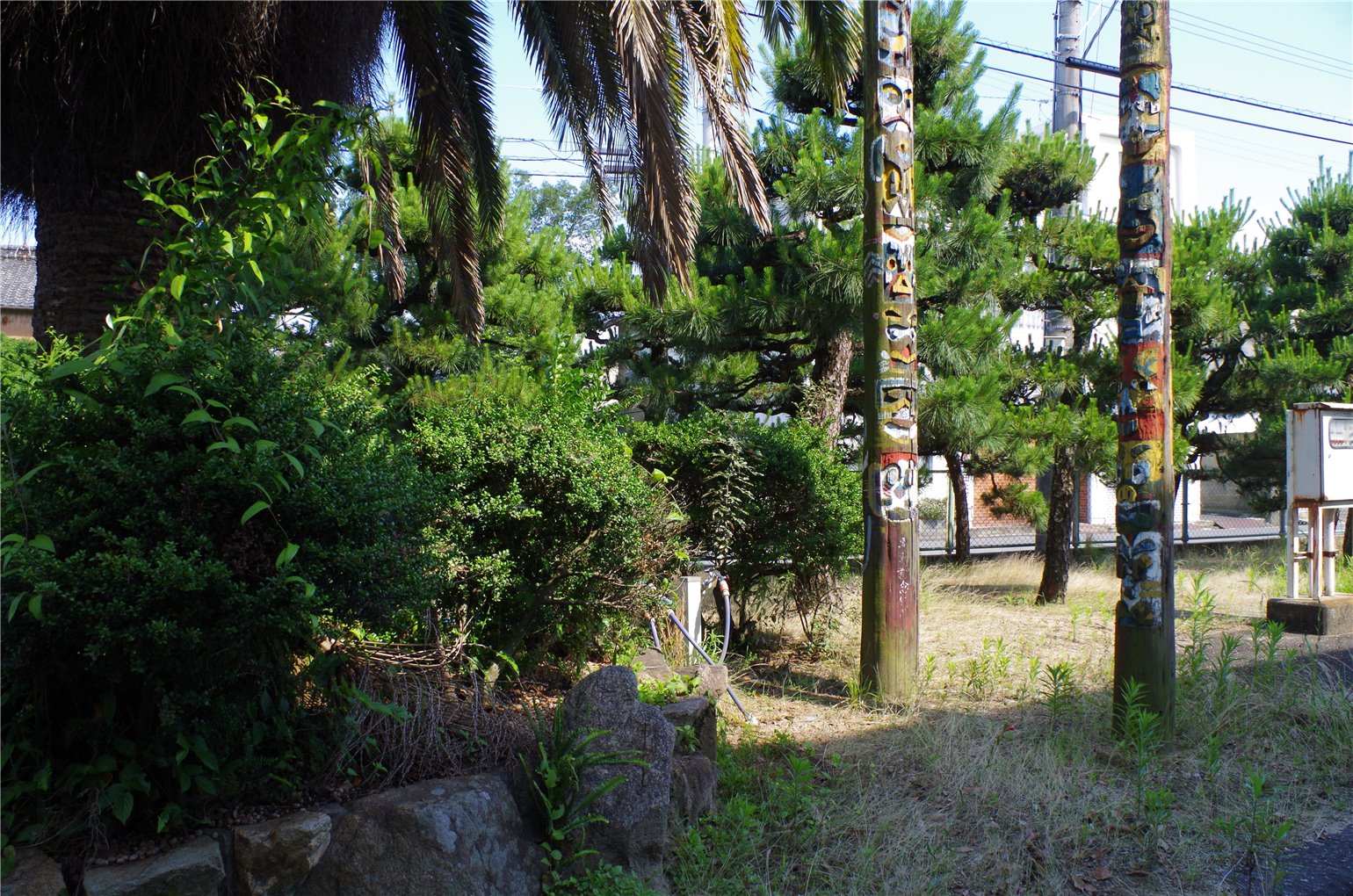 20_1の画像