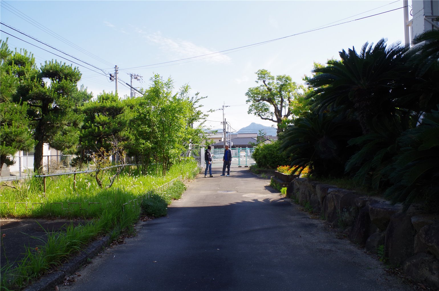21_2の画像