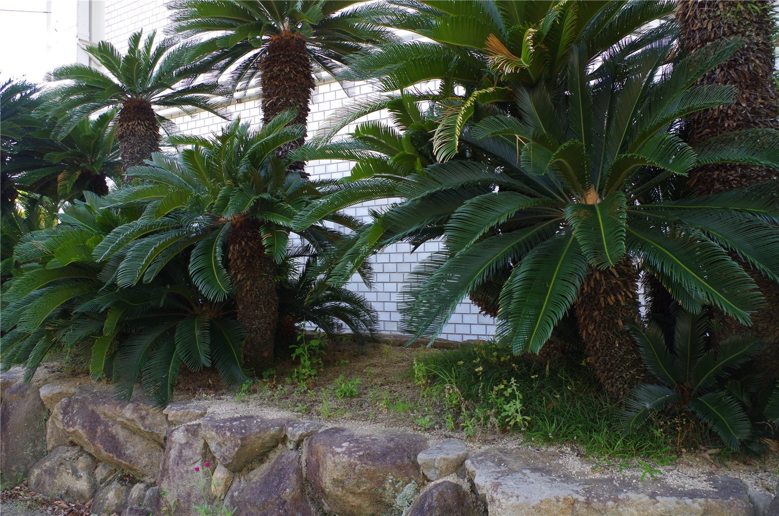 21_3の画像