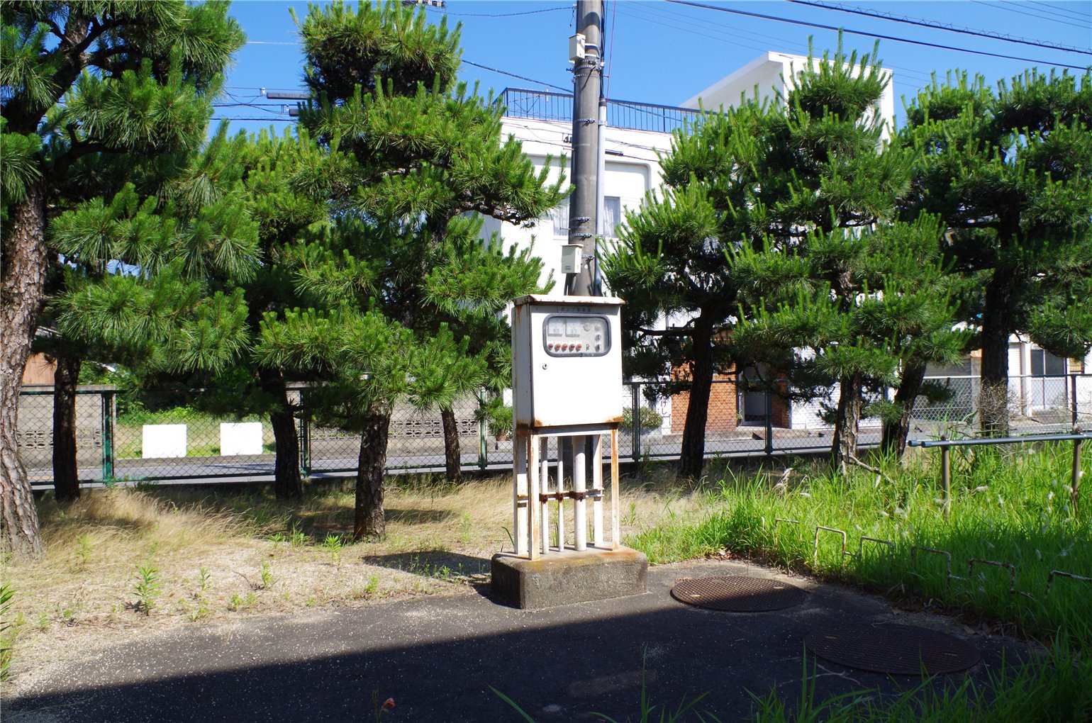 22_1の画像