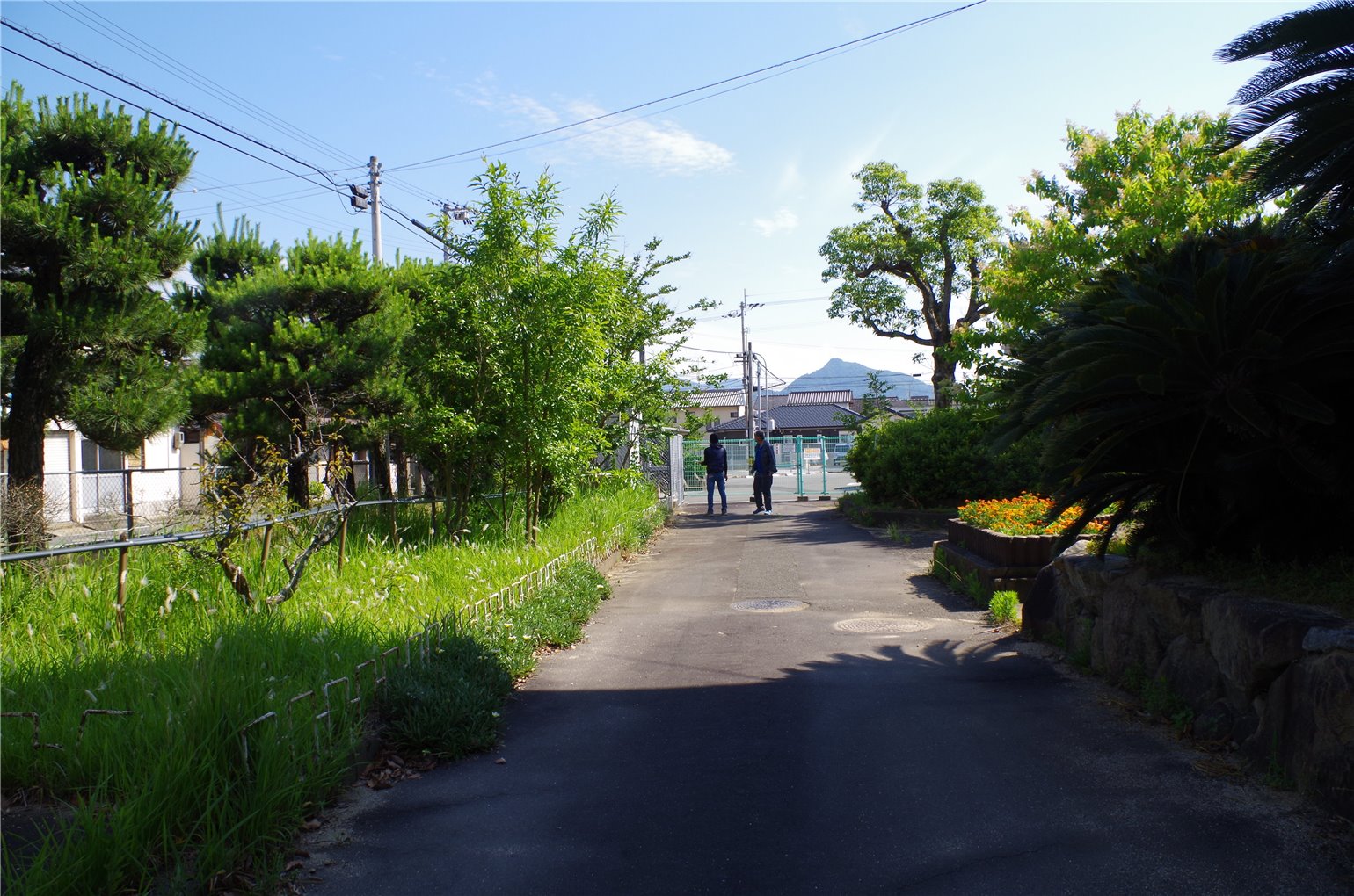 22_2の画像
