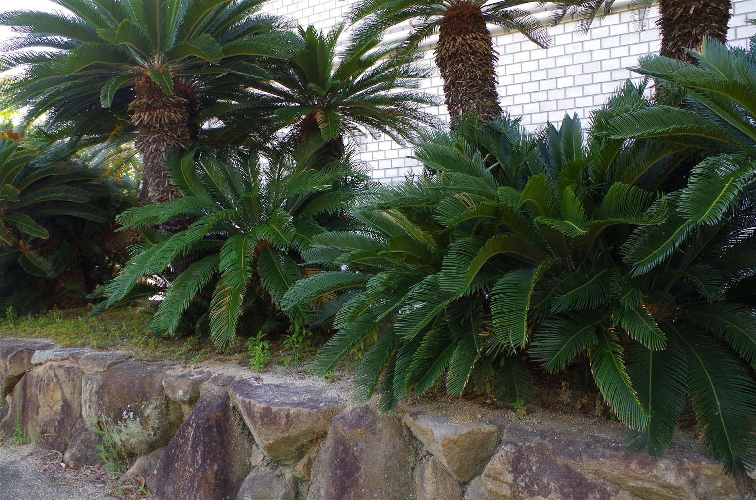 22_3の画像