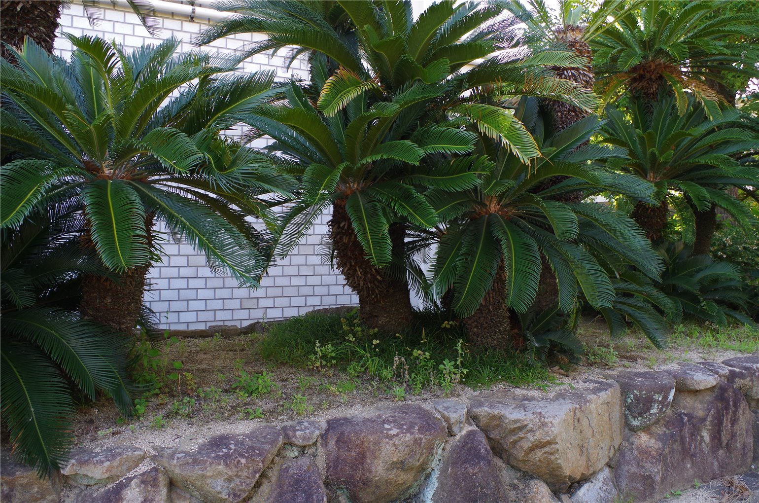 22_4の画像