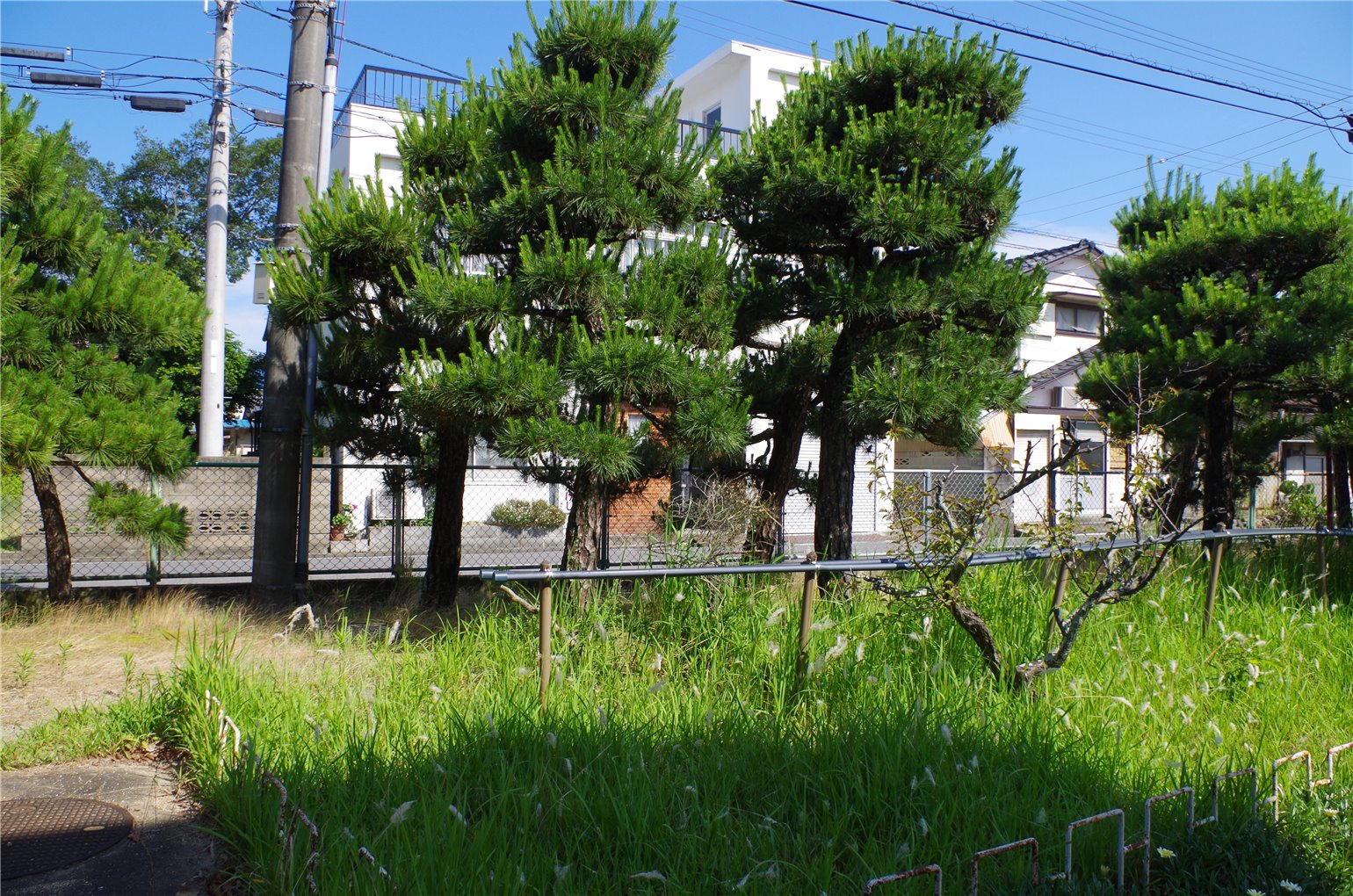 23_1の画像