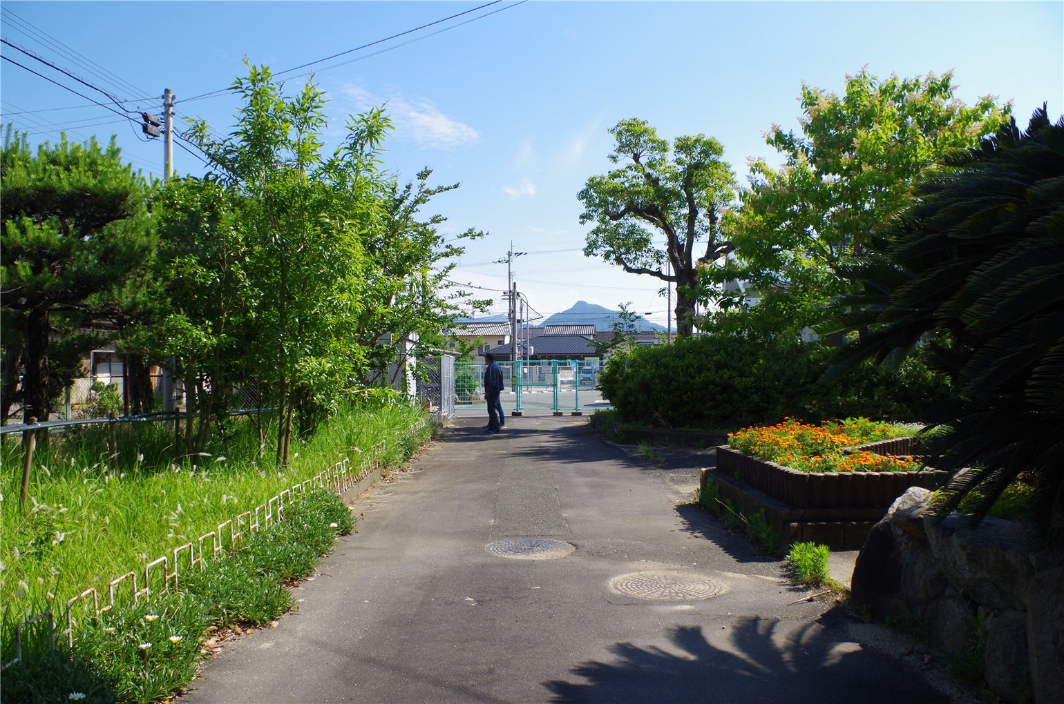 23_2の画像