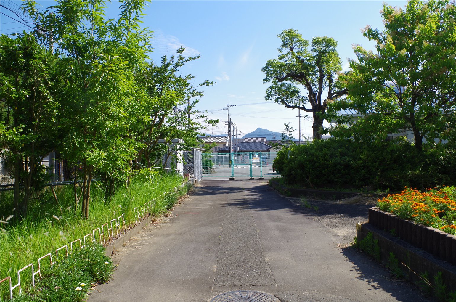 24_2の画像