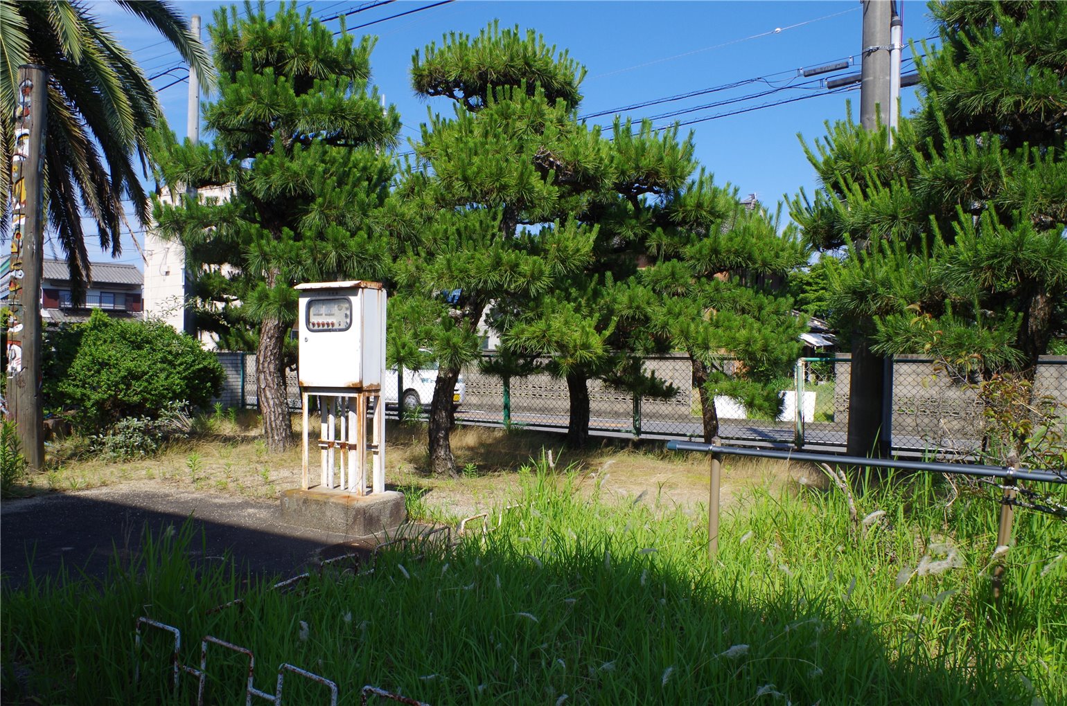 24_6の画像