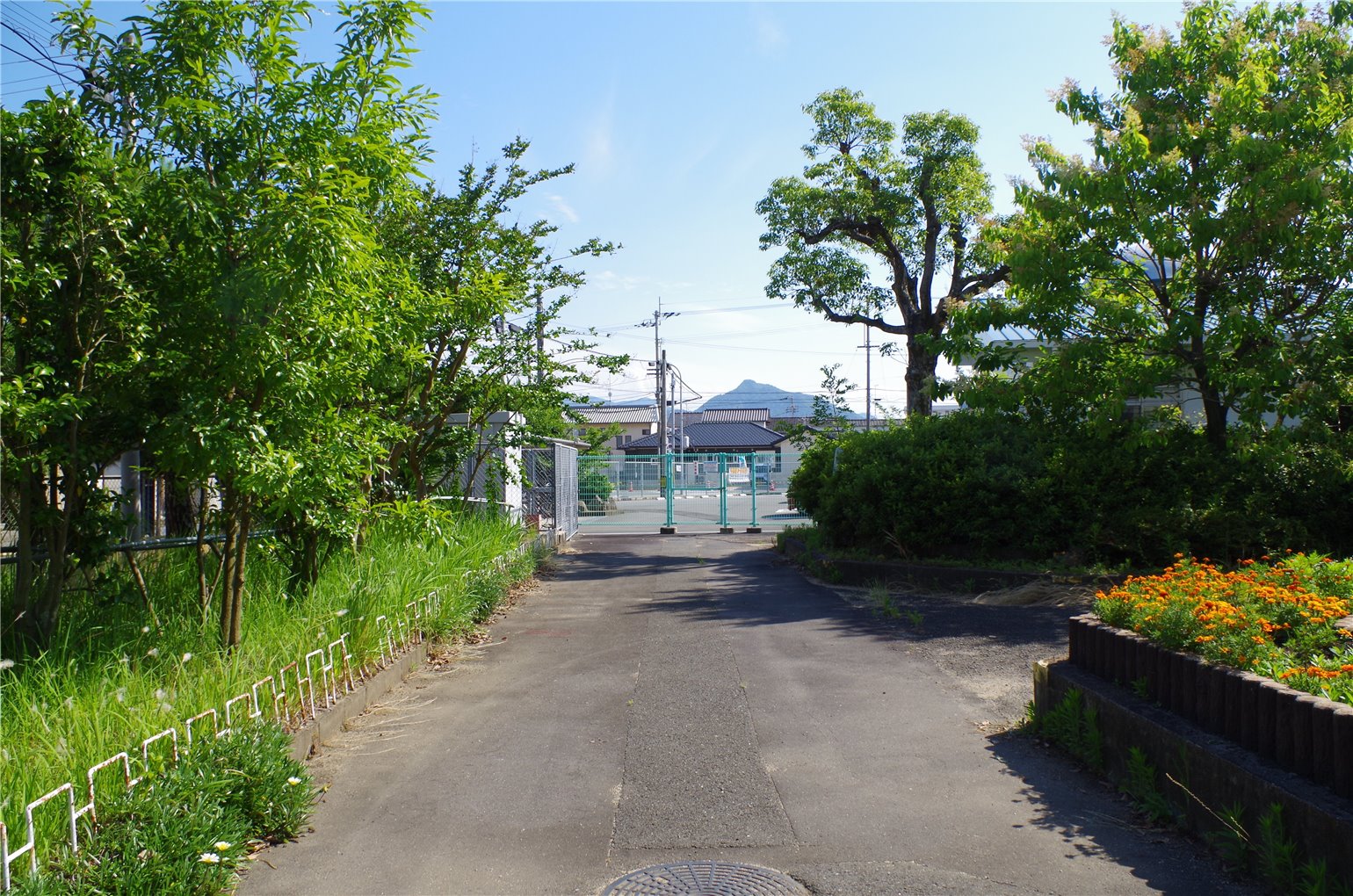 25_2の画像