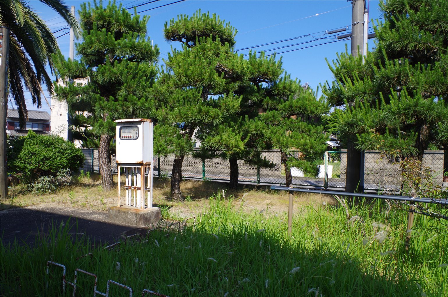 25_6の画像