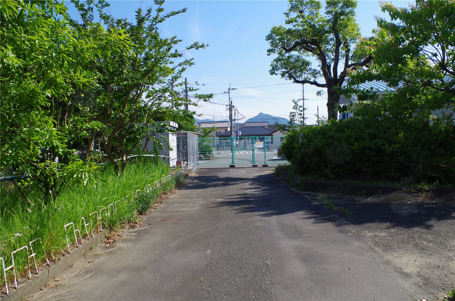 26_2の画像