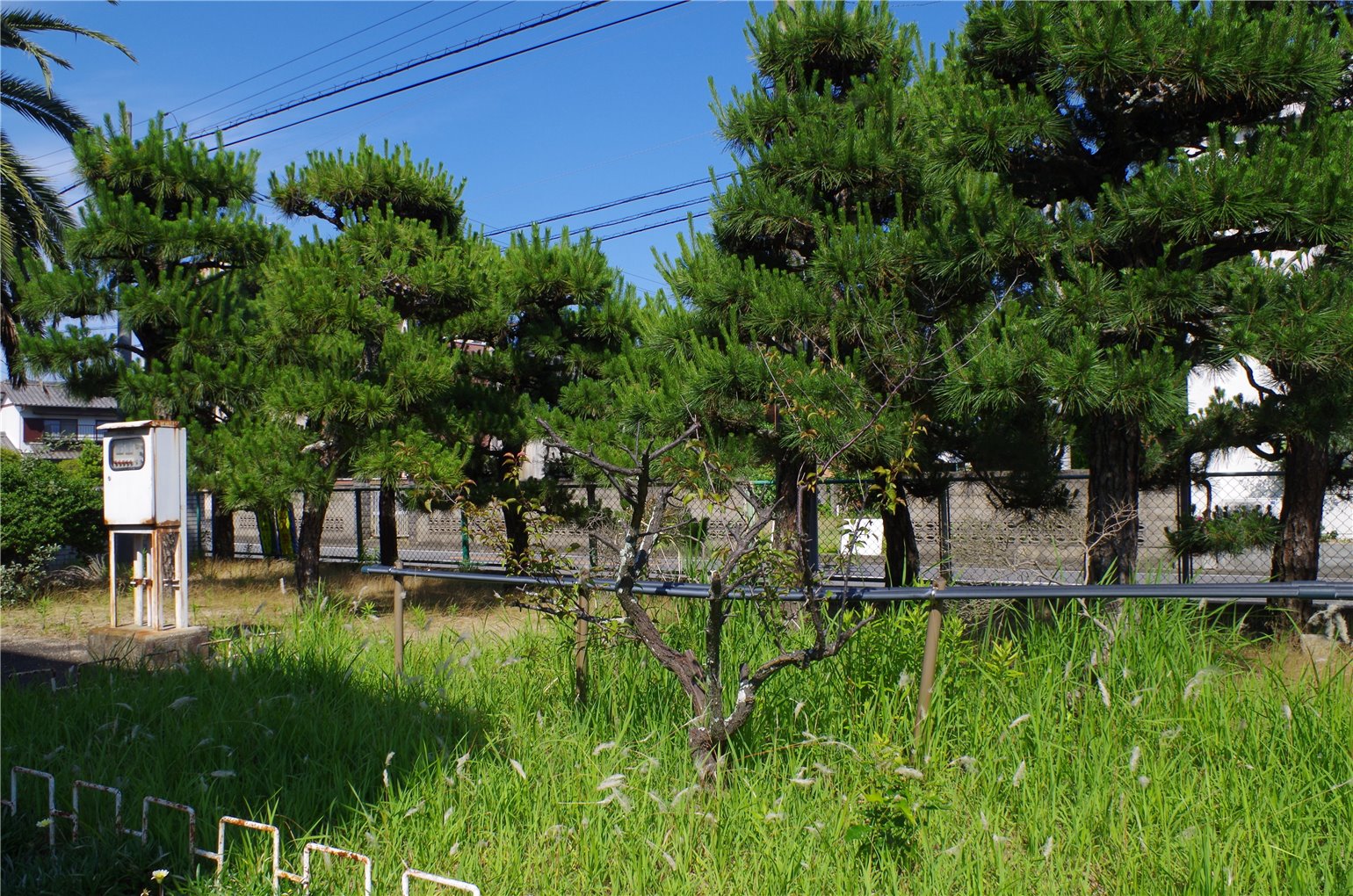 26_6の画像