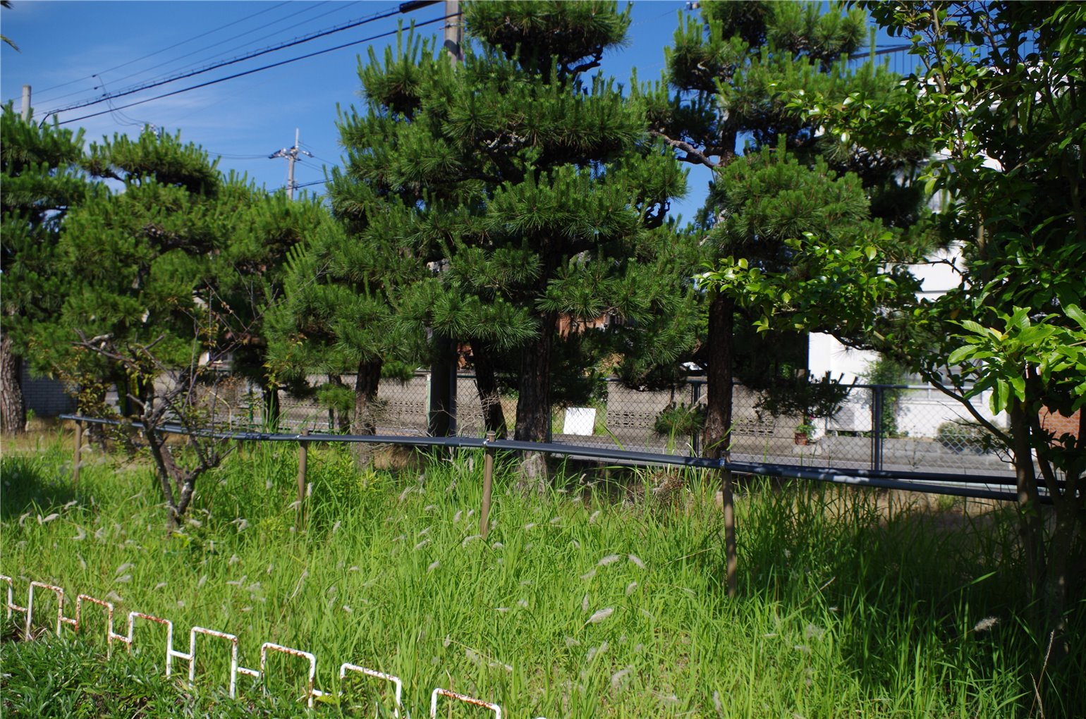 27_6の画像