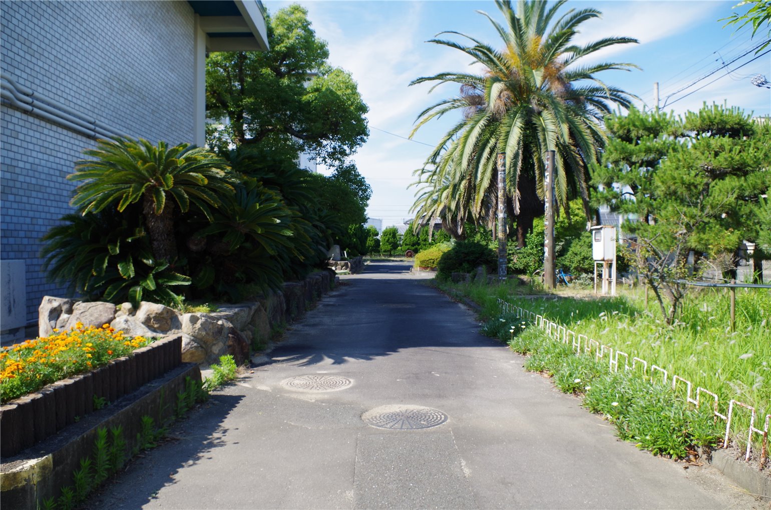 28_5の画像