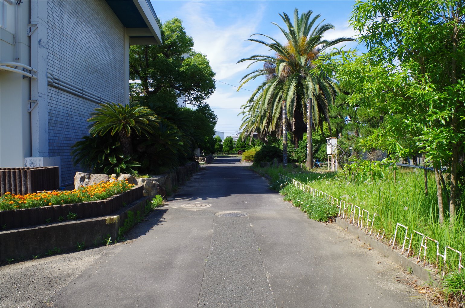 29_5の画像