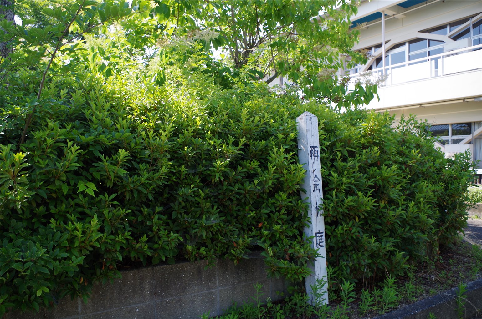 31_4の画像