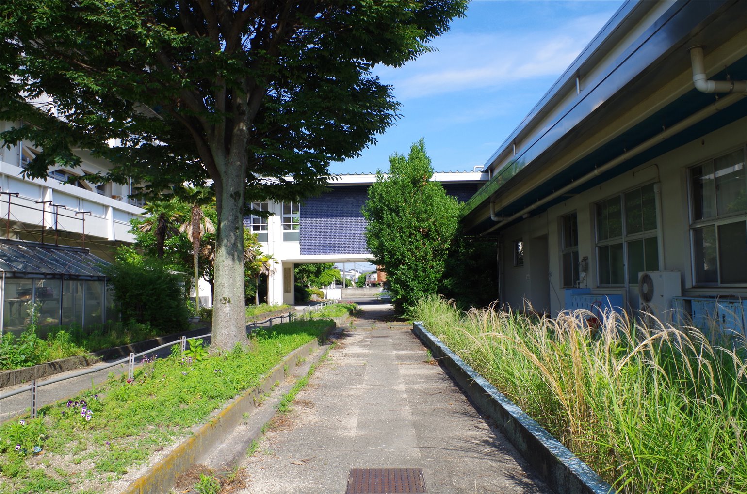 02_2の画像