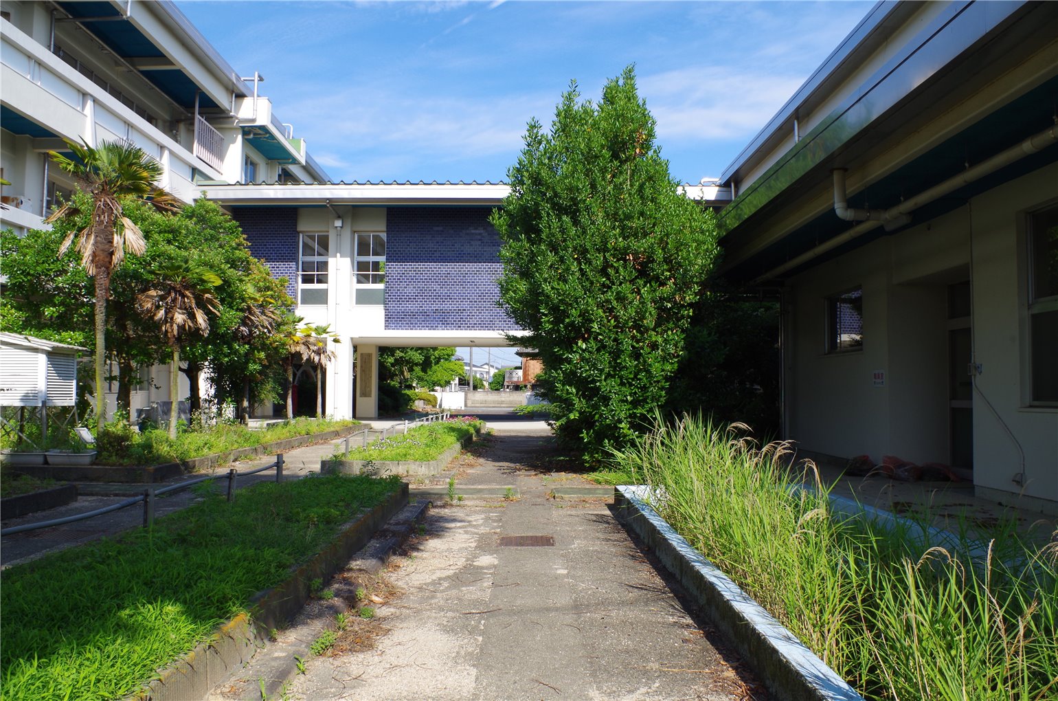05_2の画像