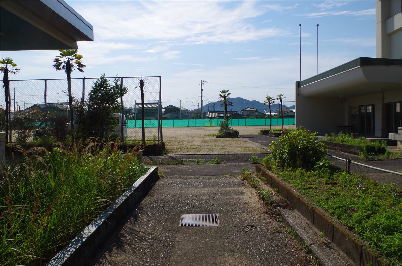 05_5の画像