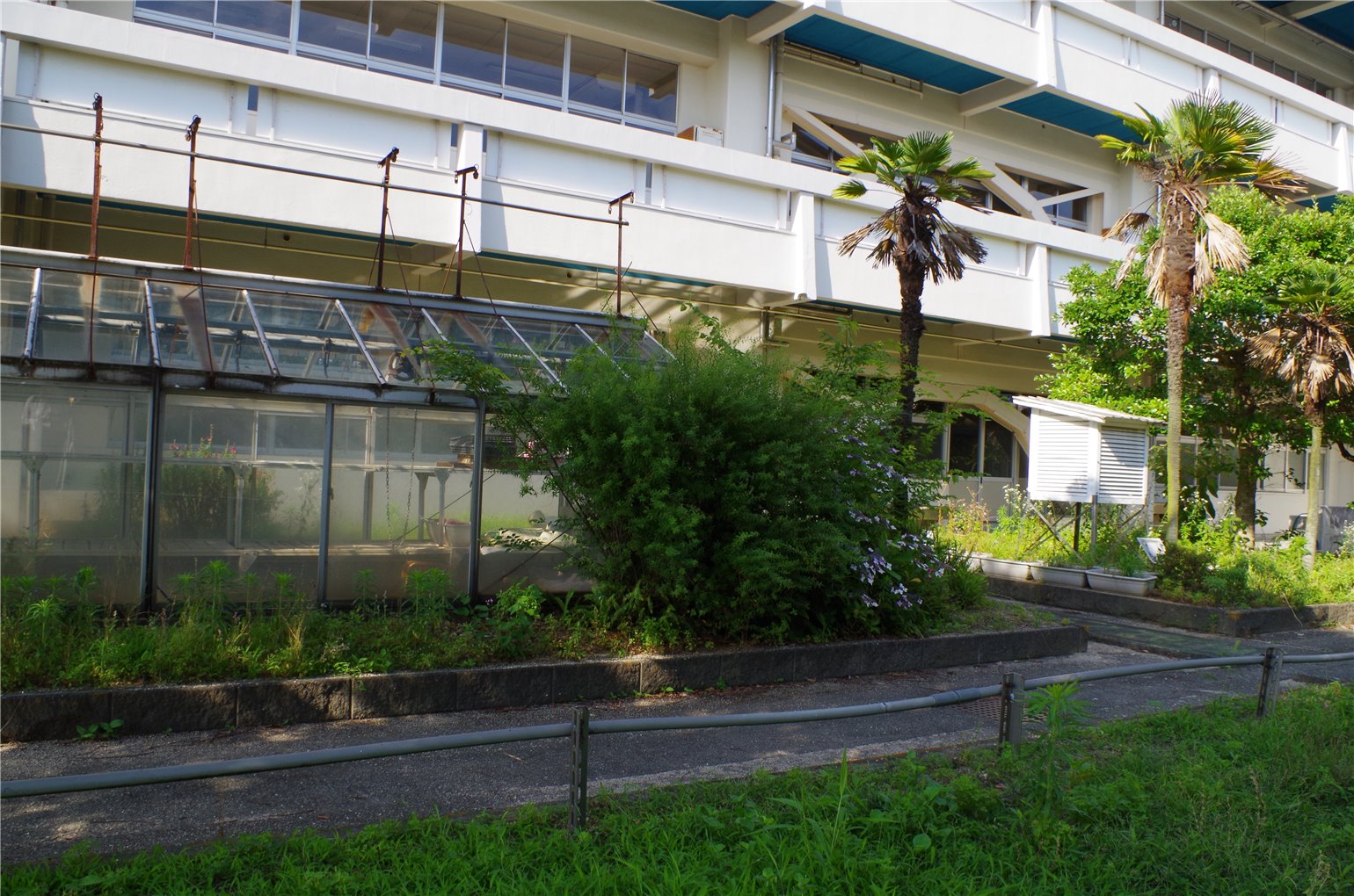 06_1の画像