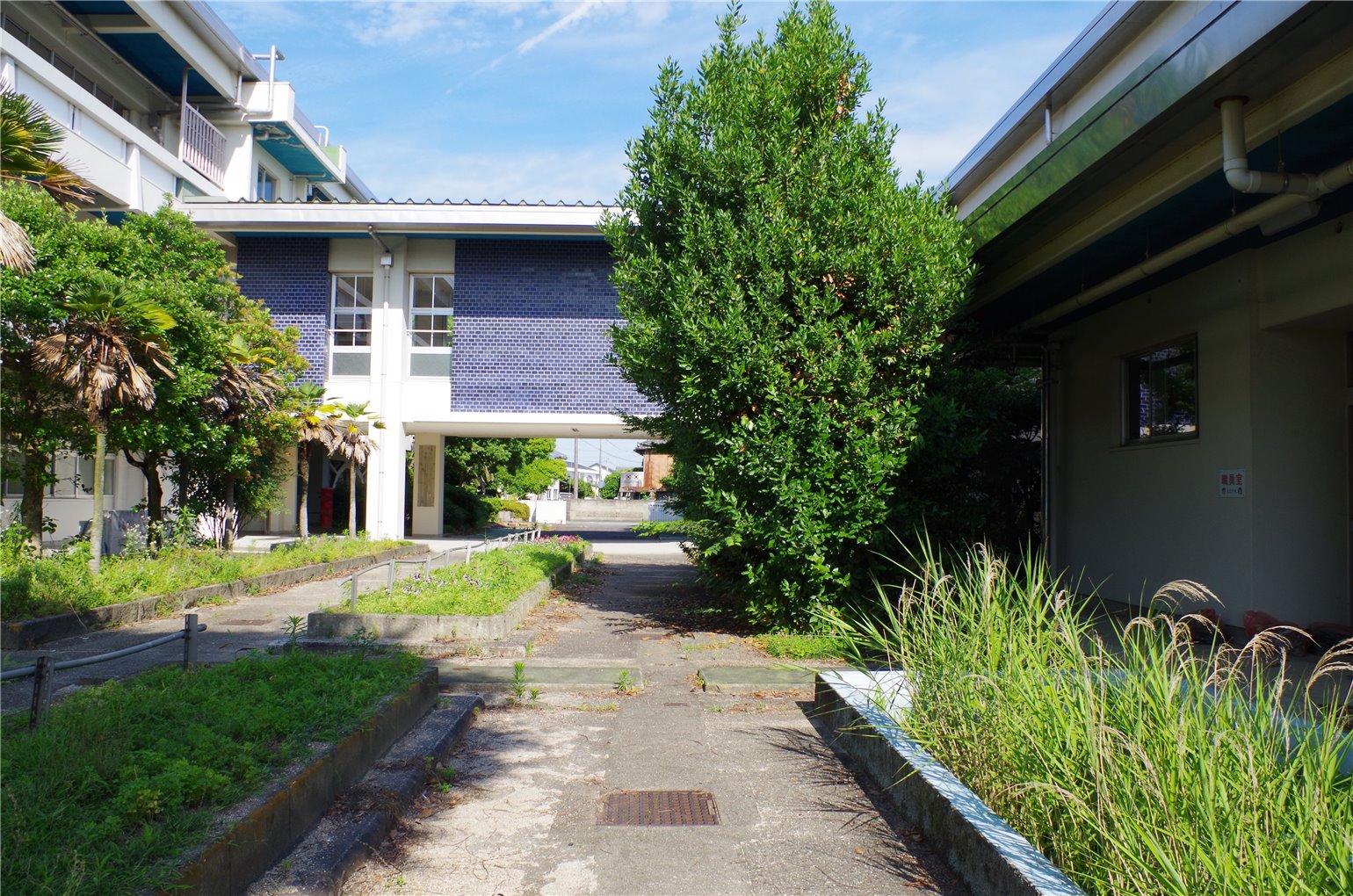 06_2の画像