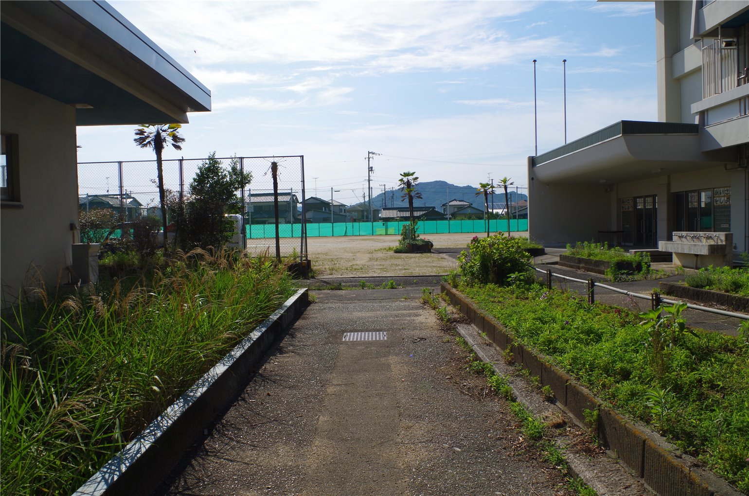 06_5の画像