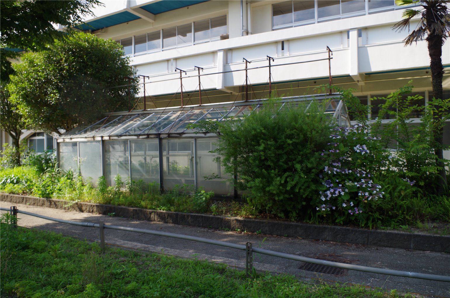 08_6の画像
