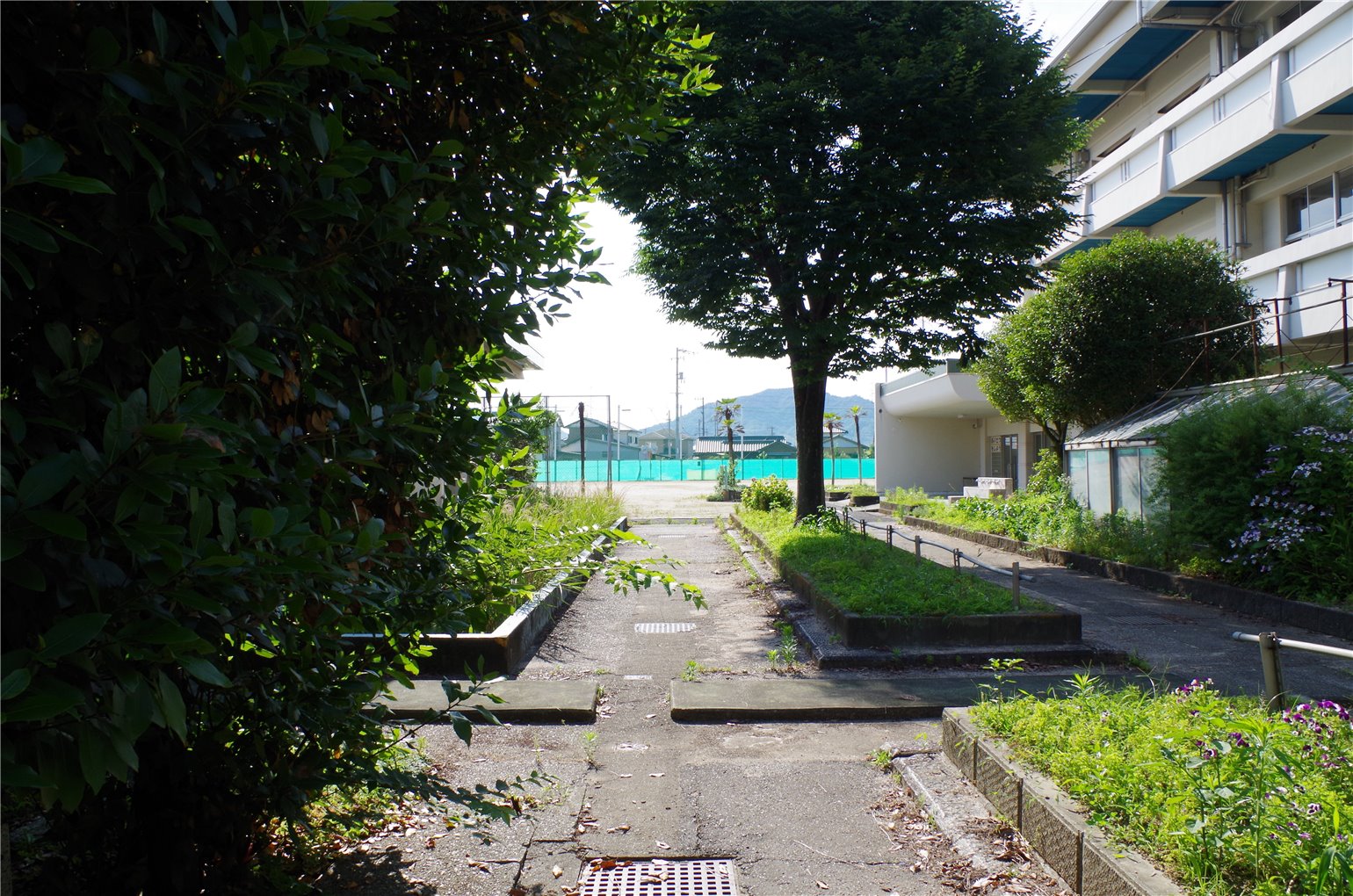 11_5の画像