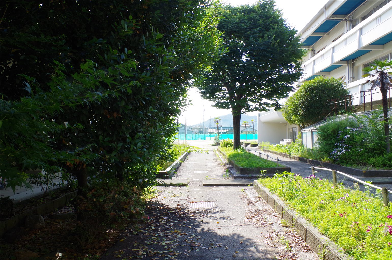 12_5の画像