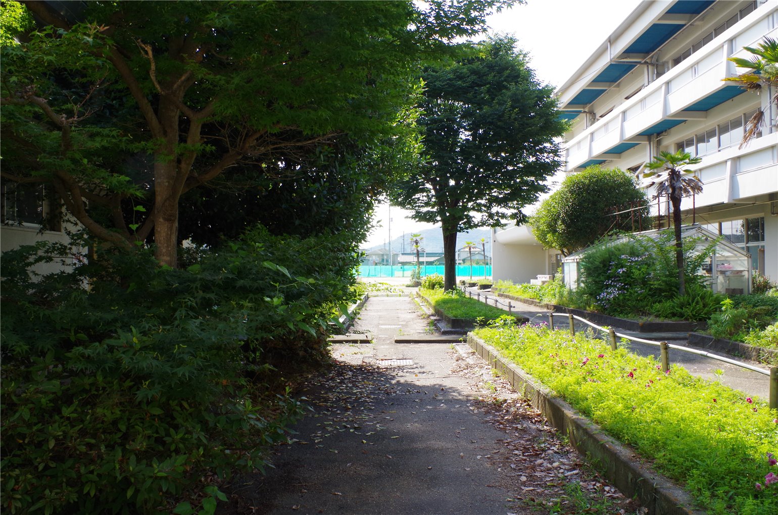 13_5の画像