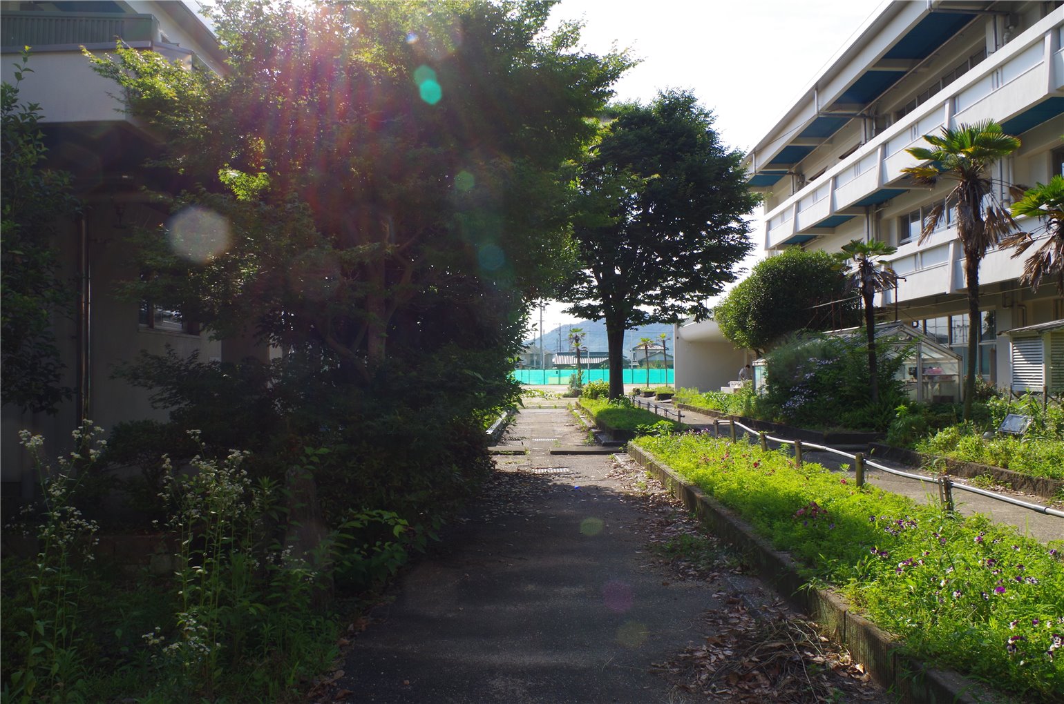 14_5の画像