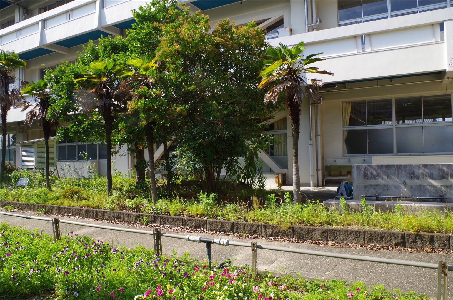 14_6の画像