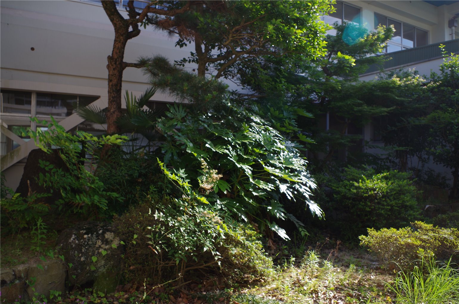 15_4の画像