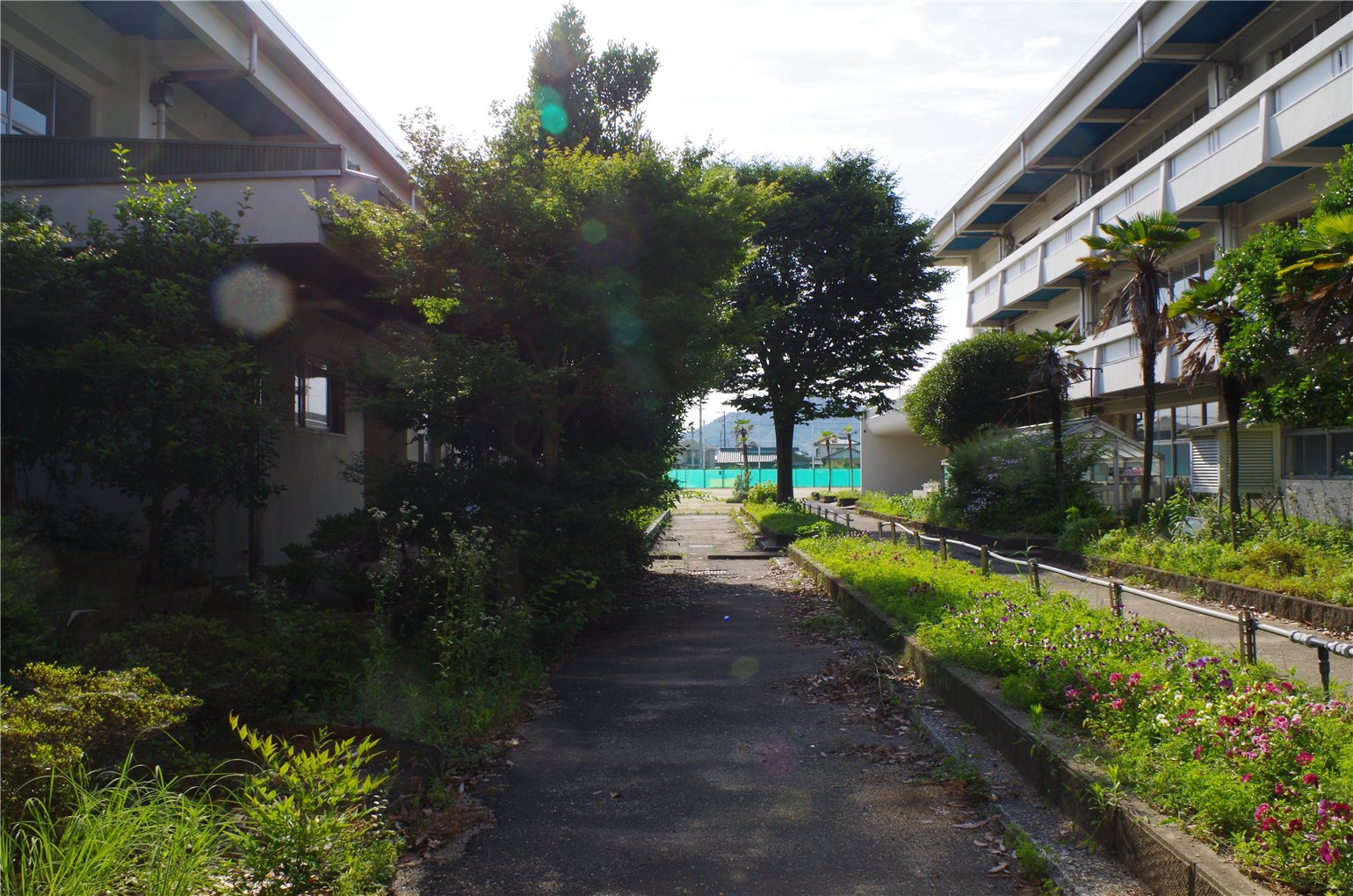 15_5の画像