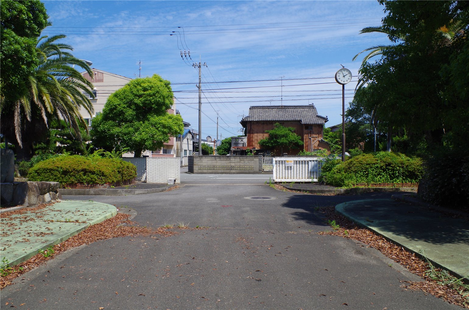 05_5の画像