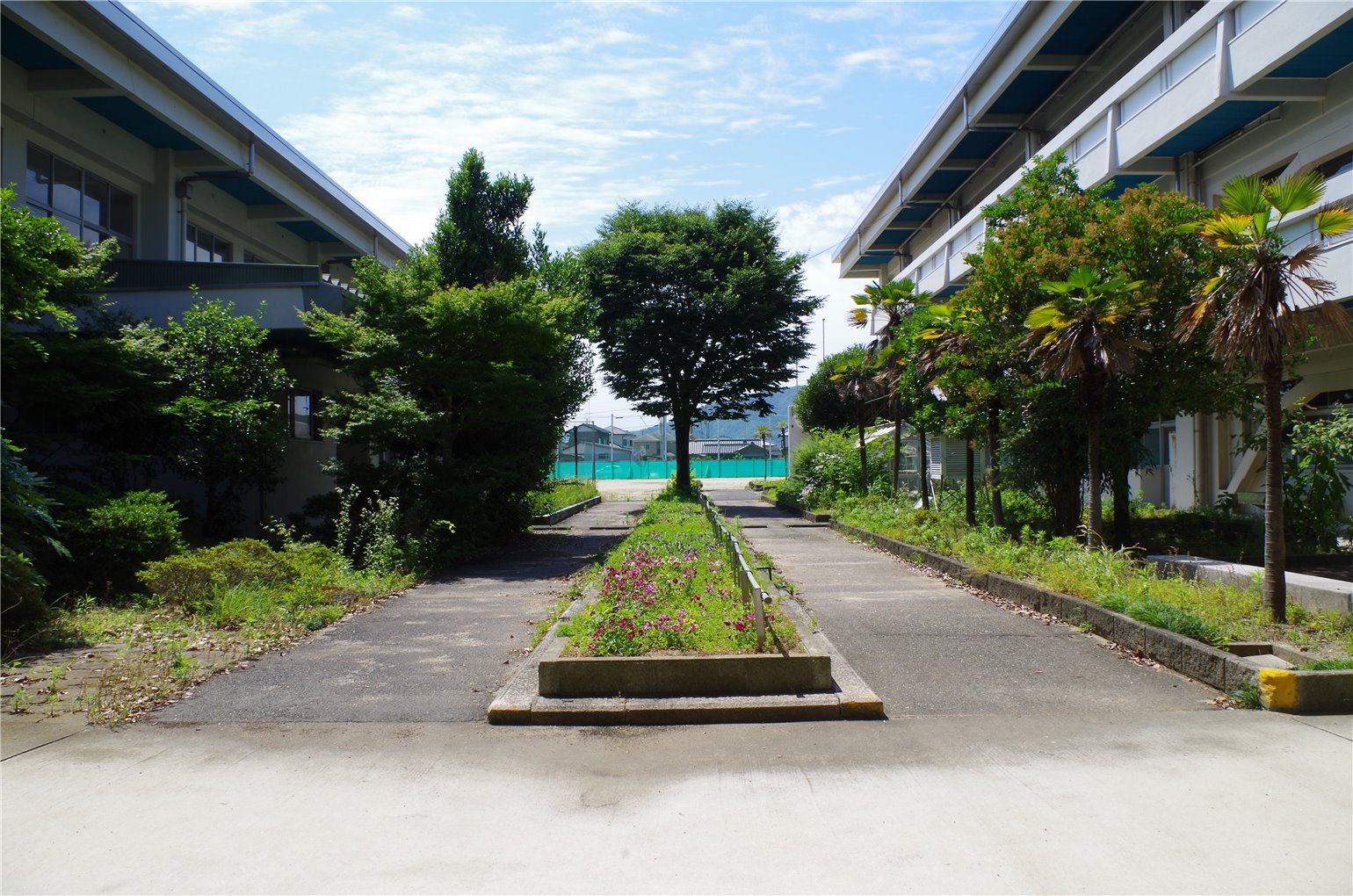 10_2の画像