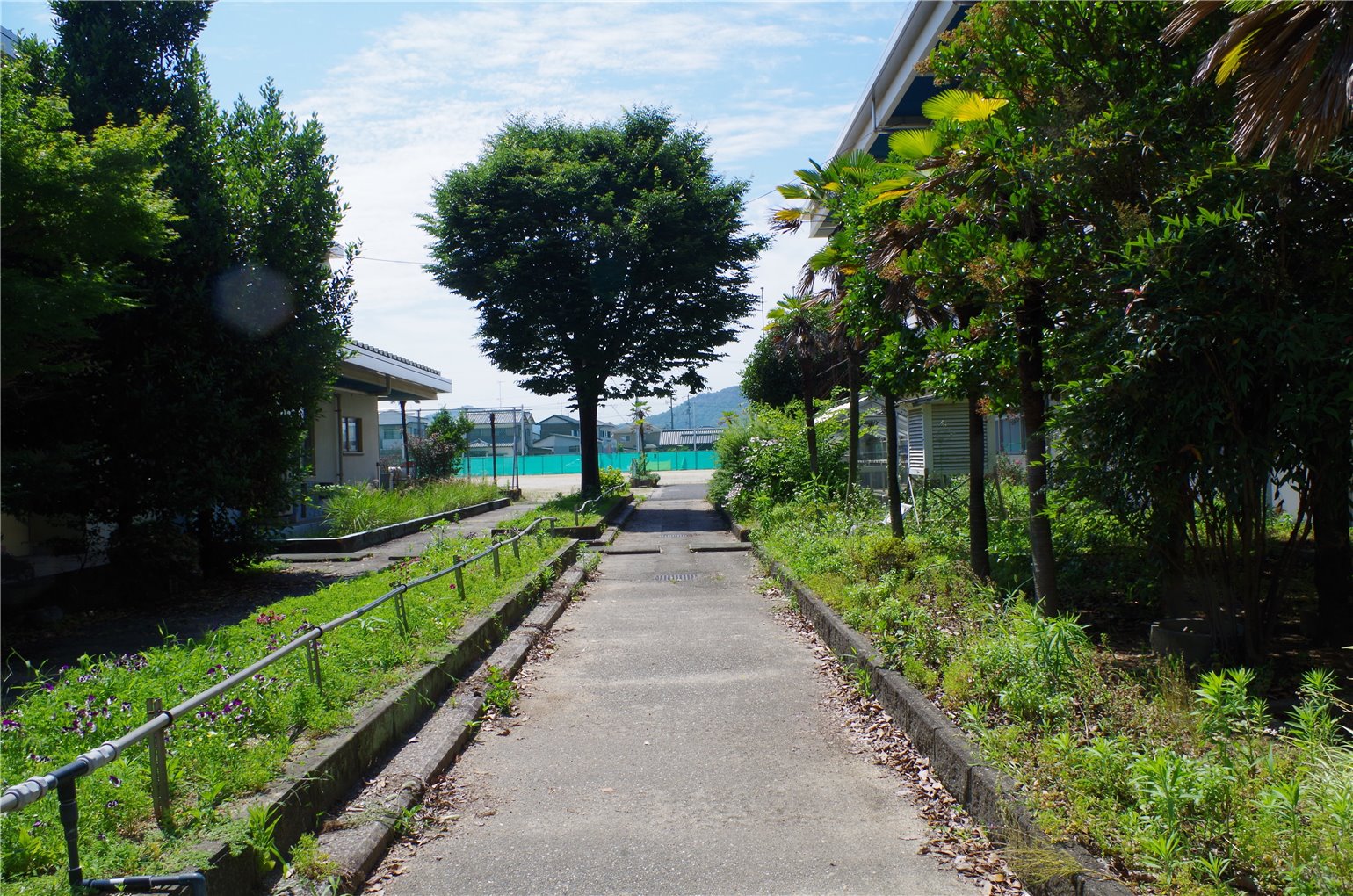 13_2の画像