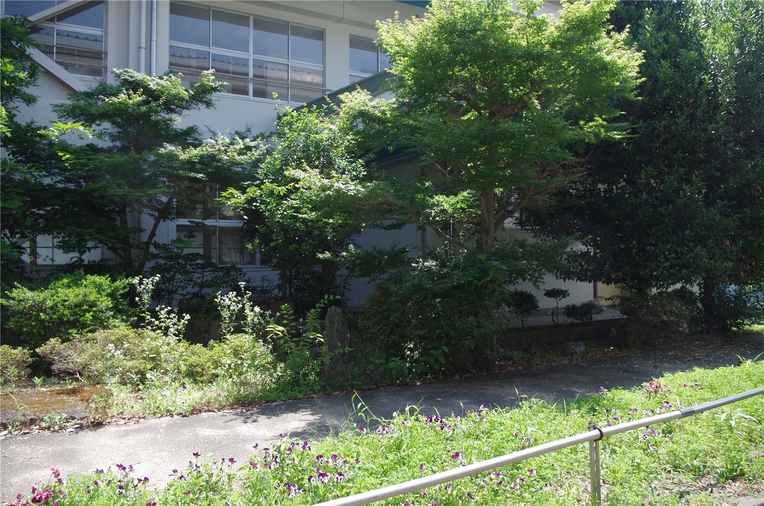 14_1の画像
