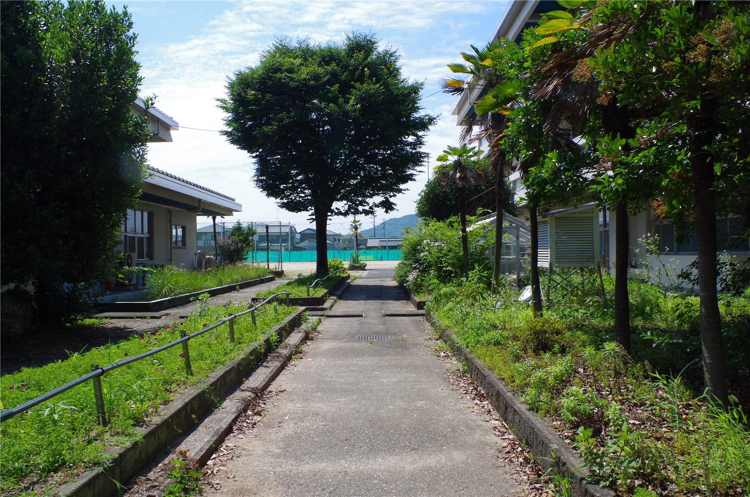 14_2の画像