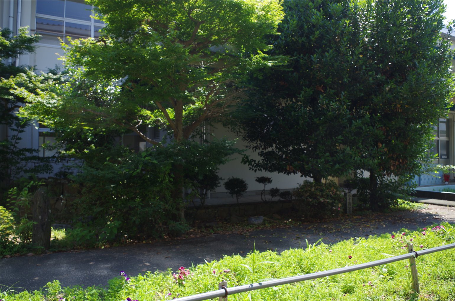15_1の画像