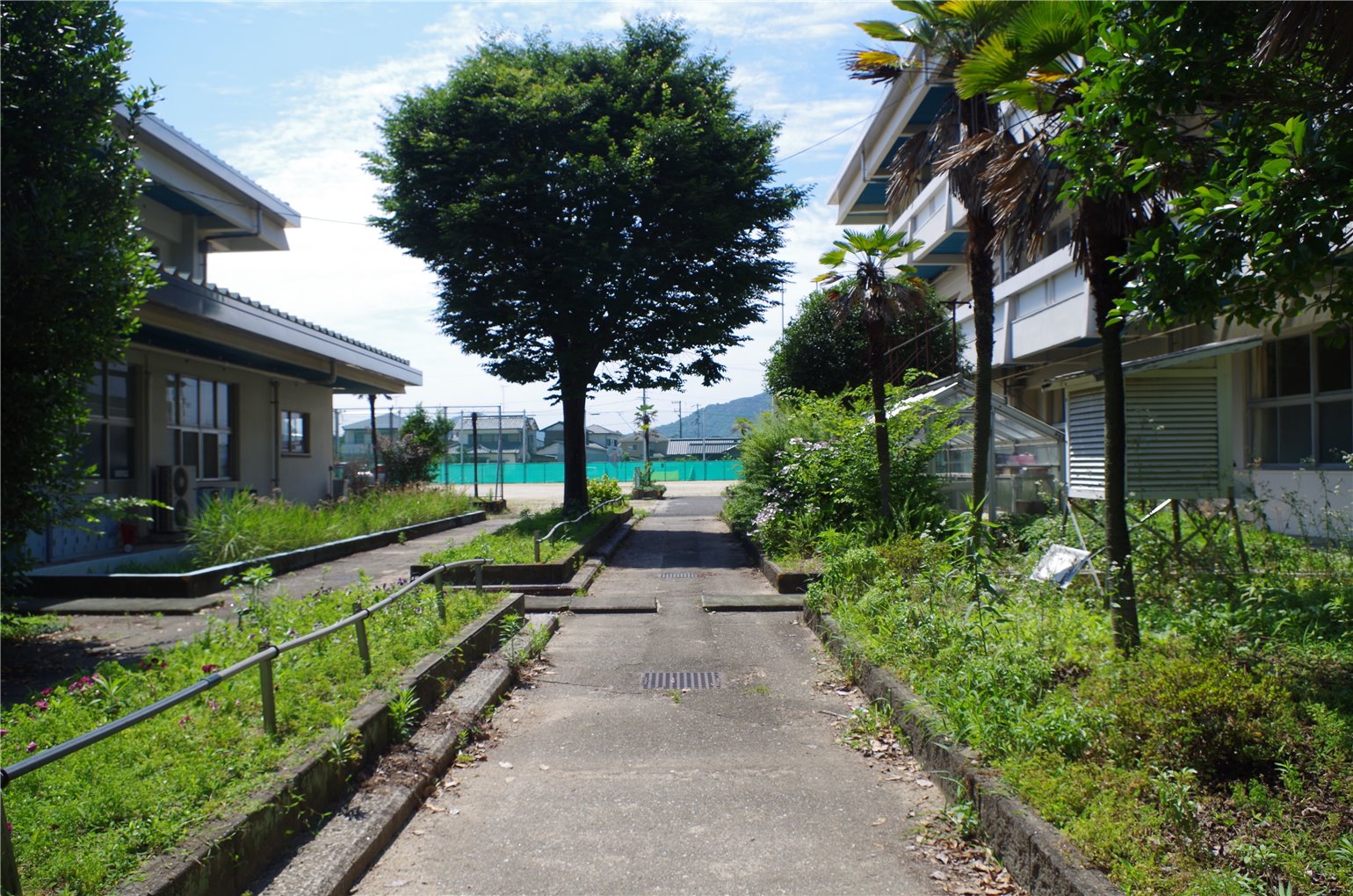 15_2の画像