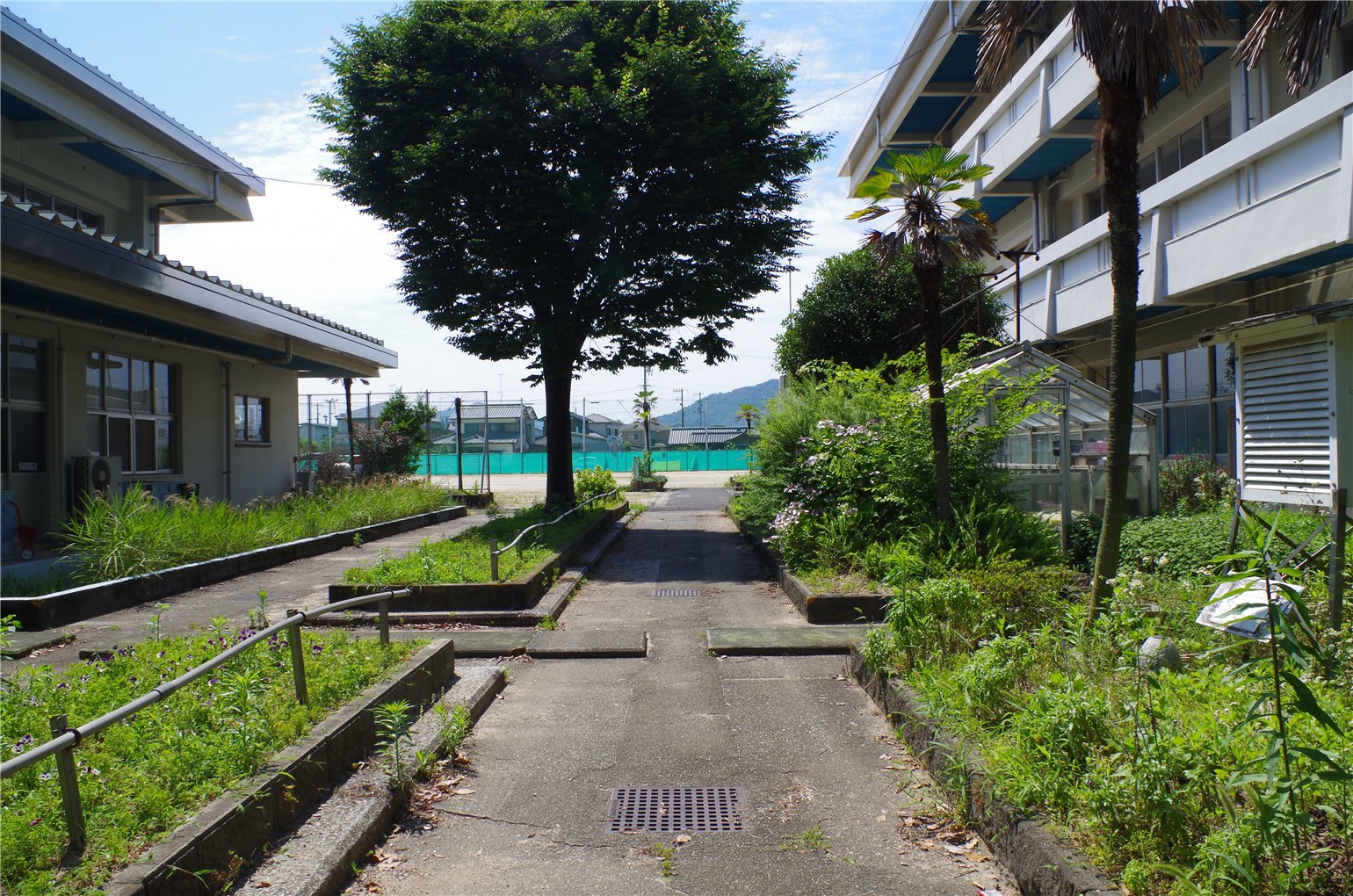 16_2の画像