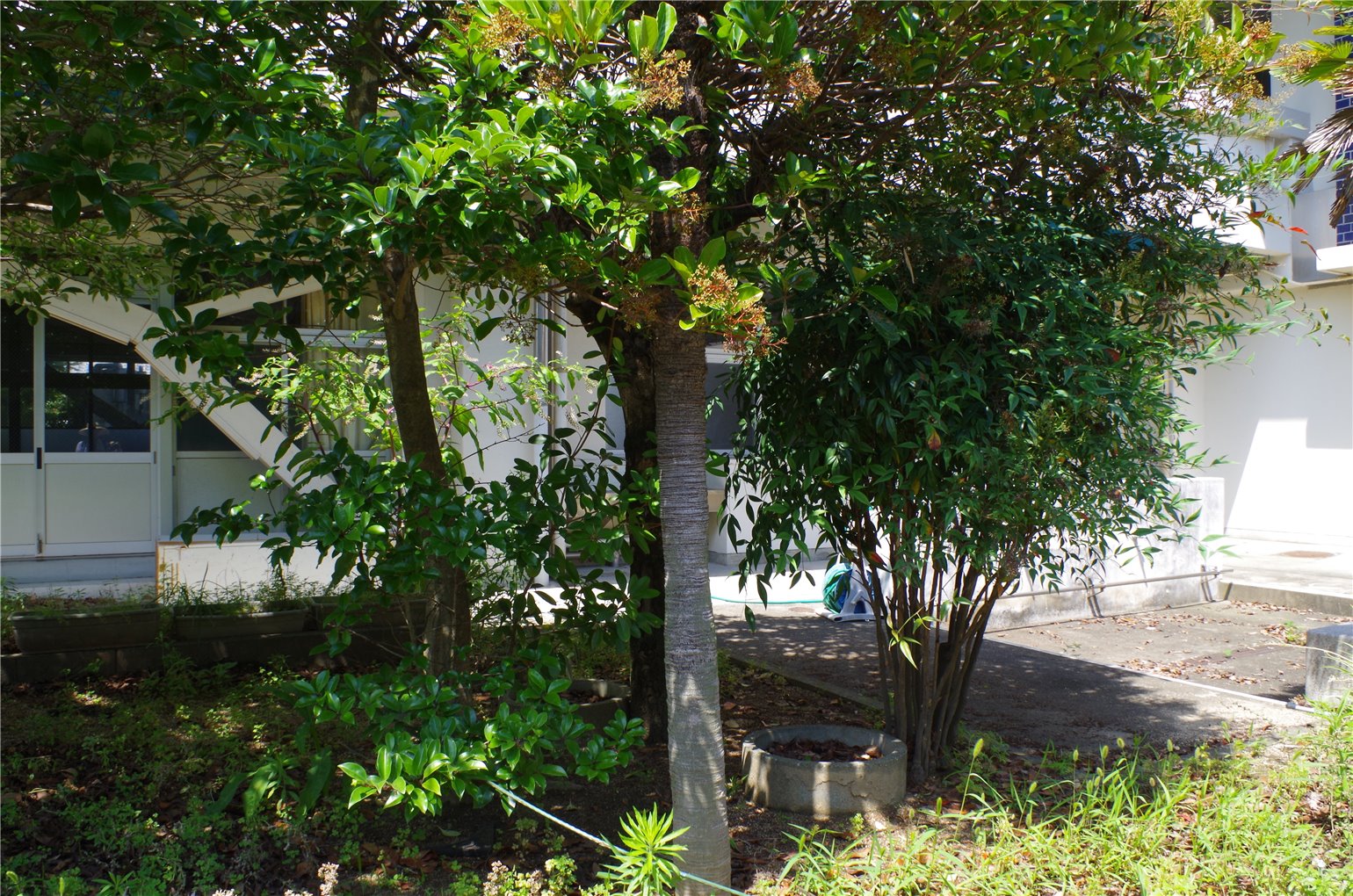 16_4の画像