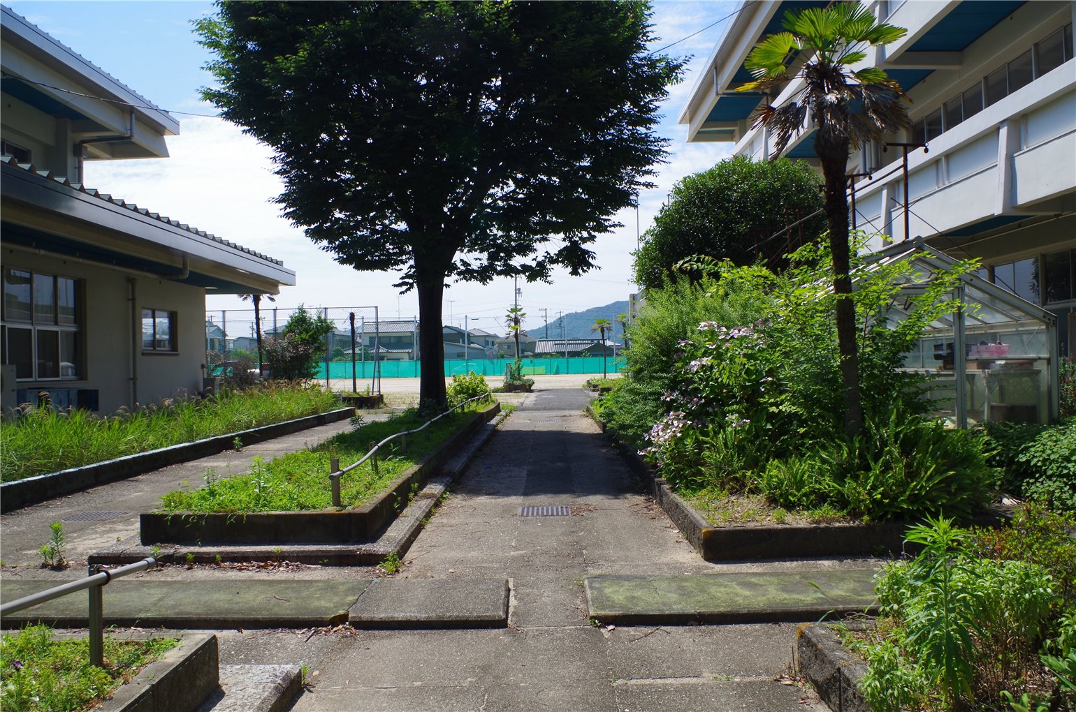 17_2の画像