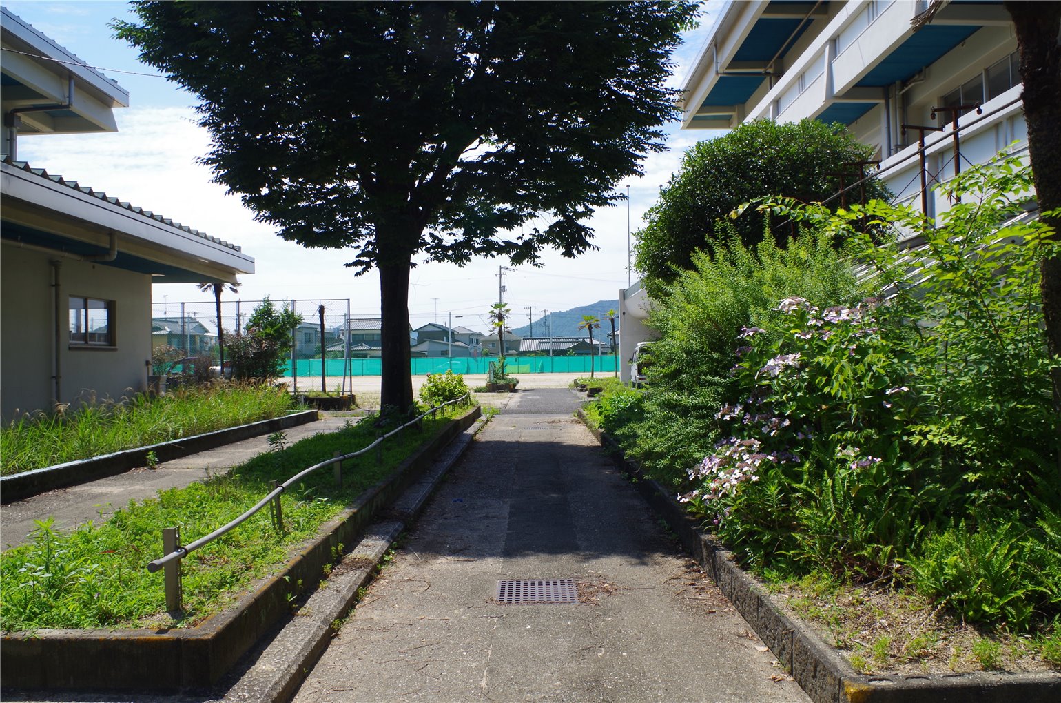 18_2の画像