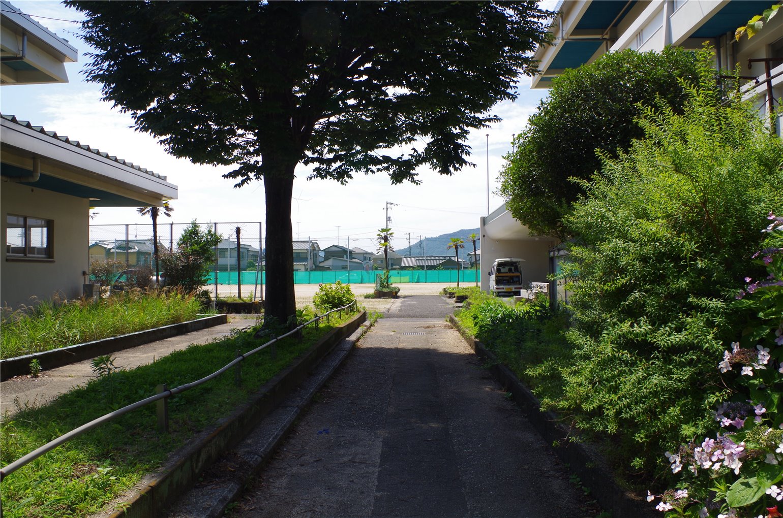 19_2の画像