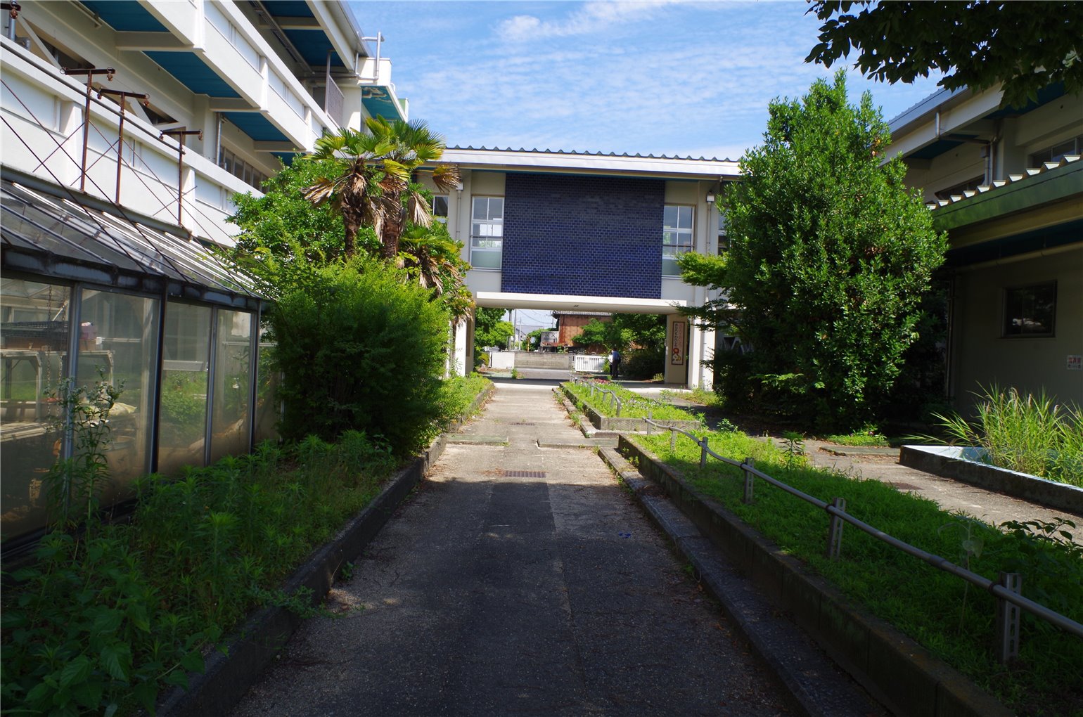 23_5の画像