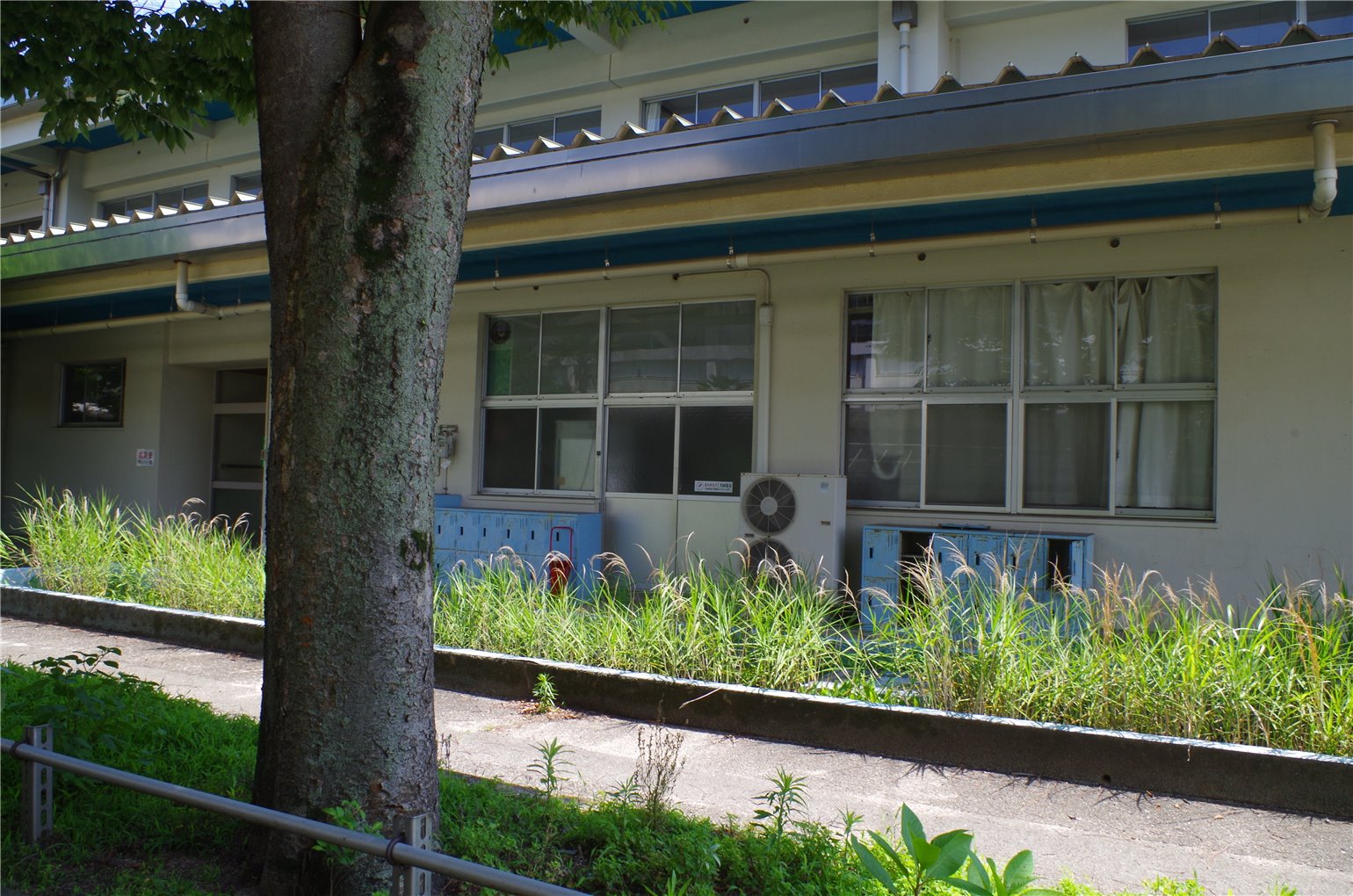 23_6の画像