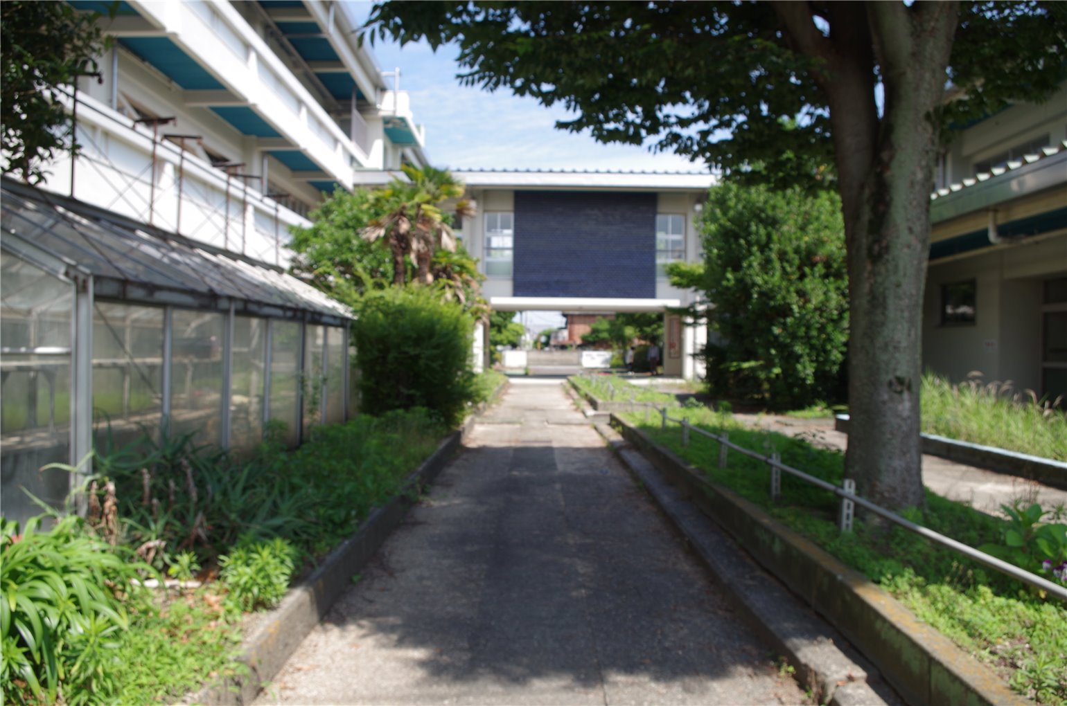 24_5の画像